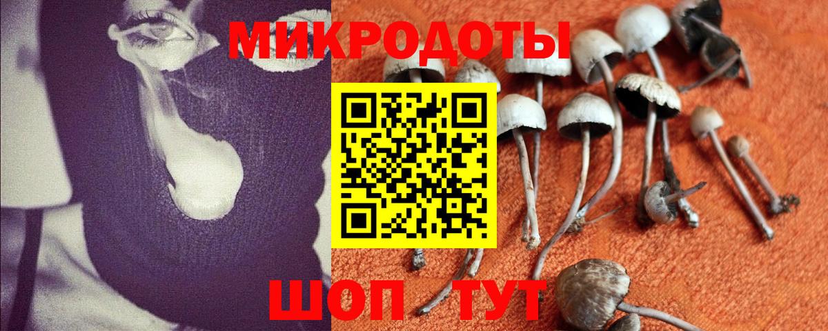 Галлюциногенные грибы Psilocybe  Псилоцибиновые грибы MAGIC MUSHROOMS  Одинцово  Вход с VPN 