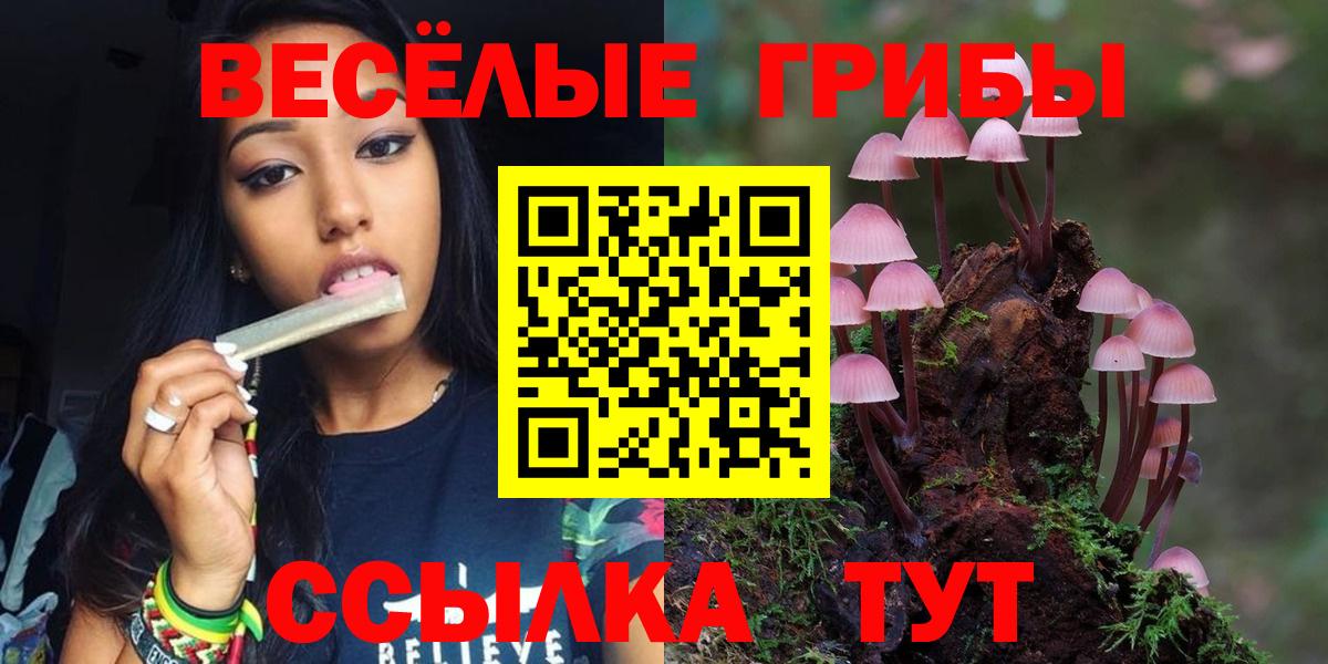 Галлюциногенные грибы MAGIC MUSHROOMS Одинцово